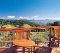 Gold Coast: O'Reilly's Ranforest Retreat 